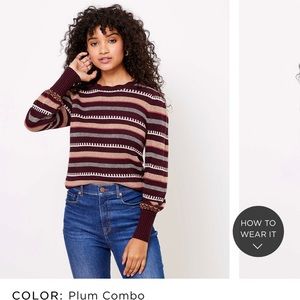 Brand New LOFT sweater